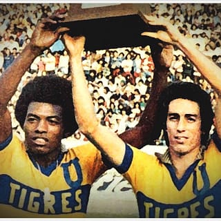 Barbadillo Tomás Boy Tigres