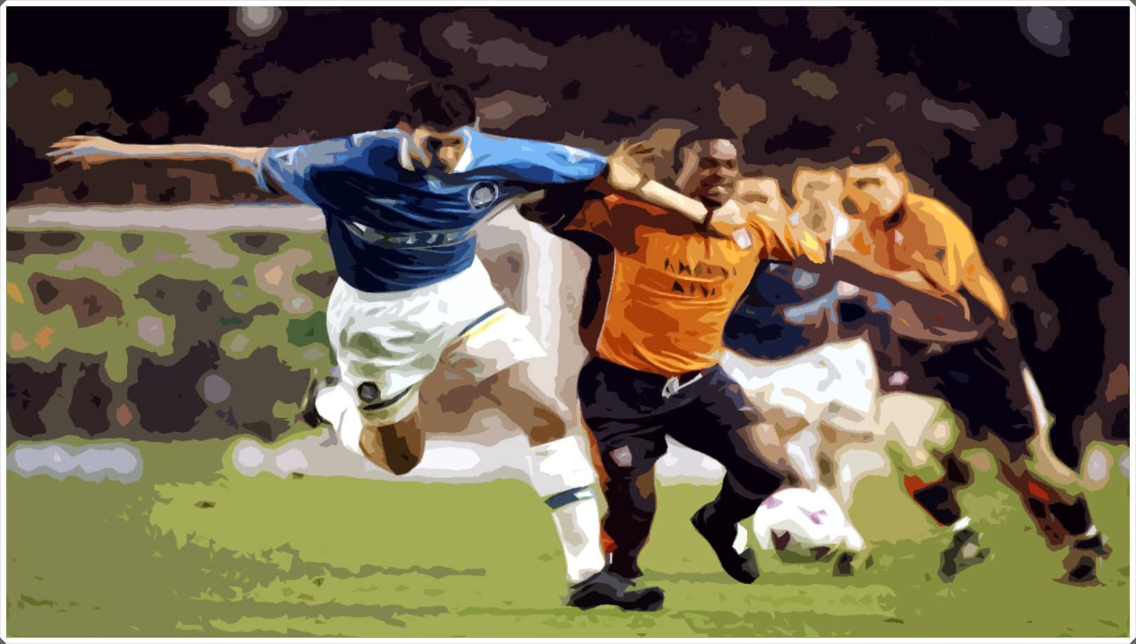 Marco Materazzi Everton