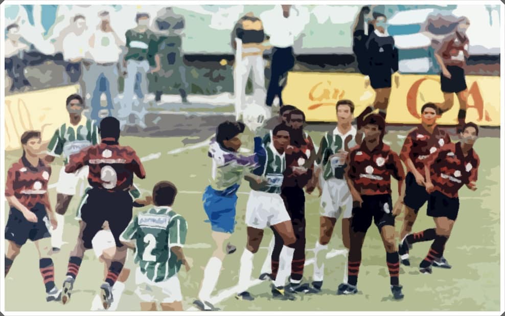 Vitória Palmeiras 1993