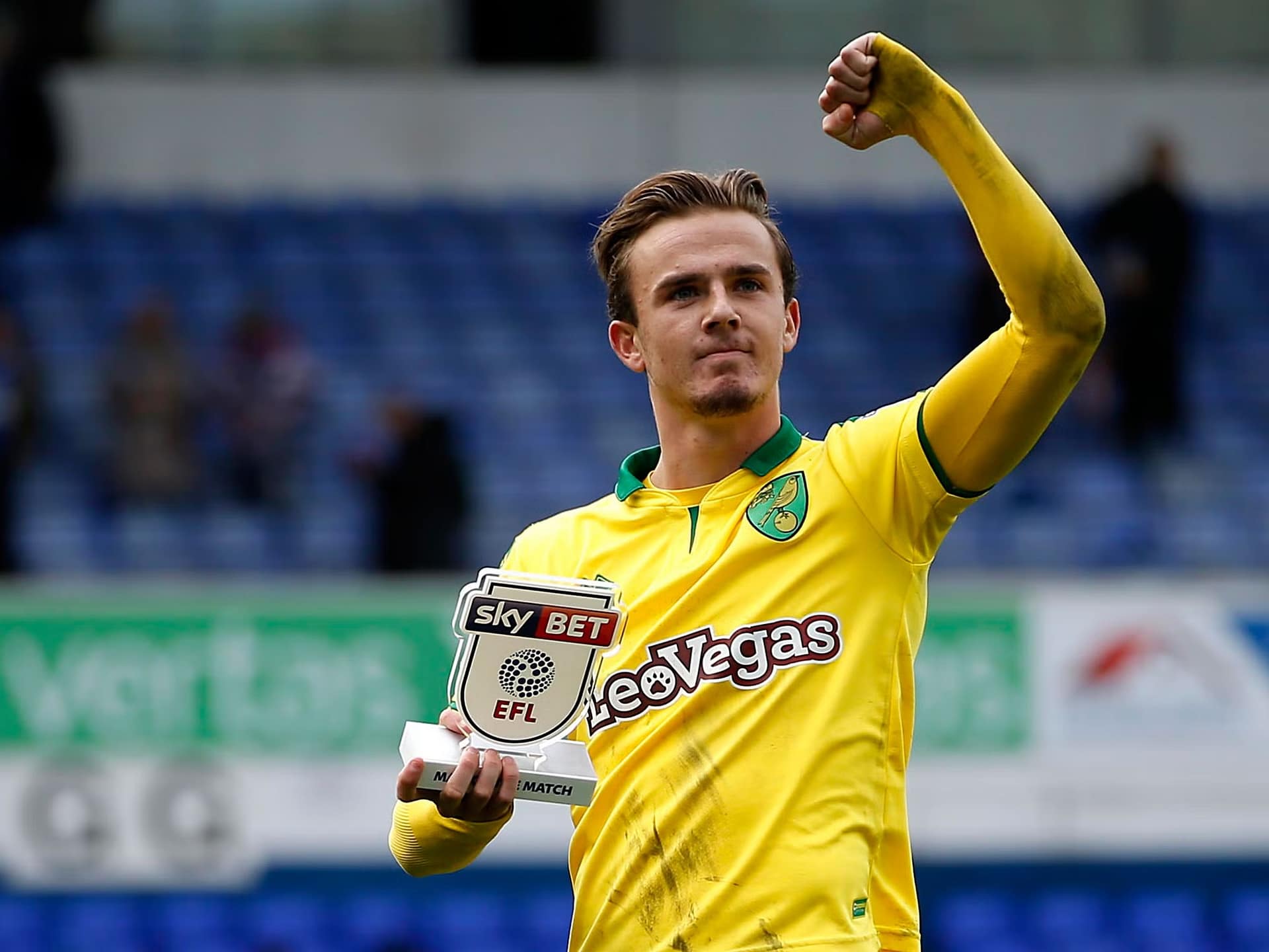 Norwich Maddison